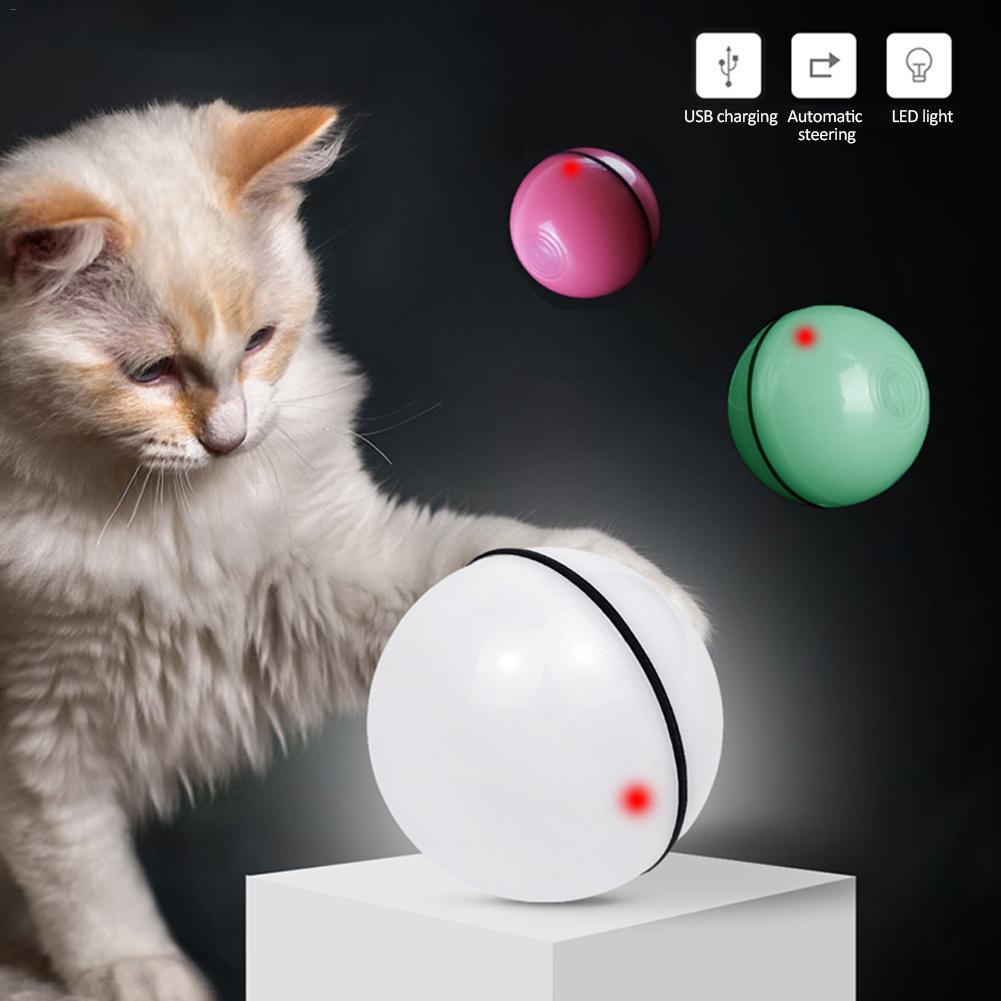 Pet Toys